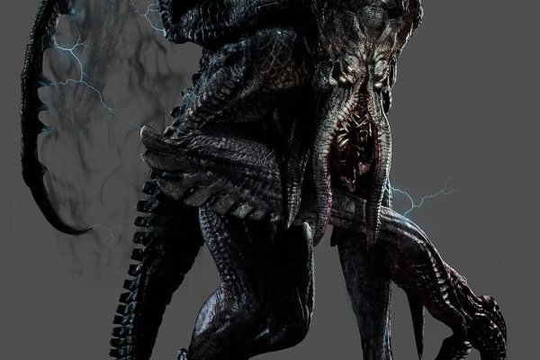Kraken onion