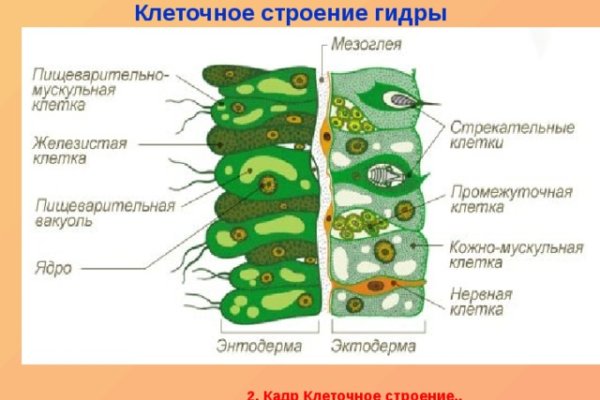 Kraken ссылка зеркало krakentor site